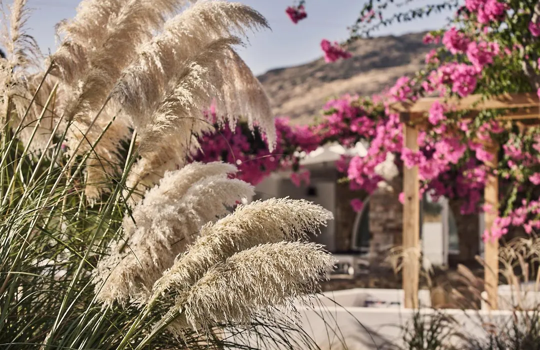 Dionysos Beach Resort & Villas-1